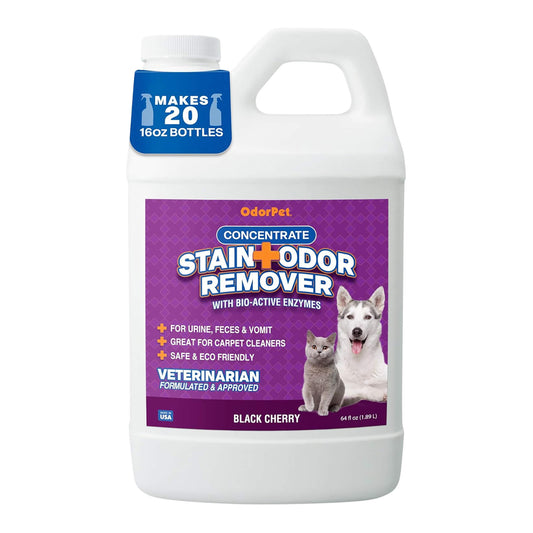 OdorPet Concentrate Stain Remover Black Cherry ½ Gallon