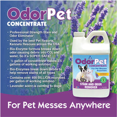OdorPet - 1/2 gal Lavender Scent
