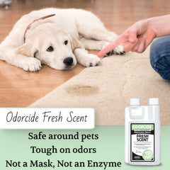 Odorcide Fresh Scent Concentrate 16 oz