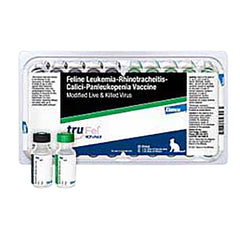 Felo-Guard Plus 3 LVK, (25 x 1ml)