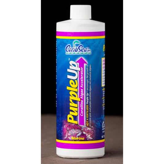 CaribSea PurpleUp Coralline Algae Accelerator 1ea/16 floz.