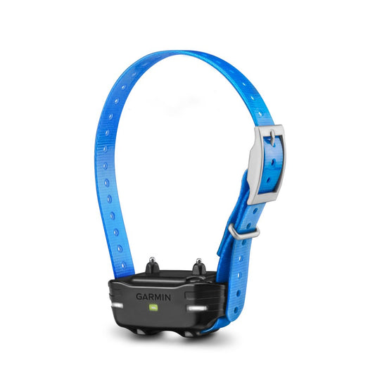 PT 10 Additional PRO Dog Collar Blue-010-01209-10