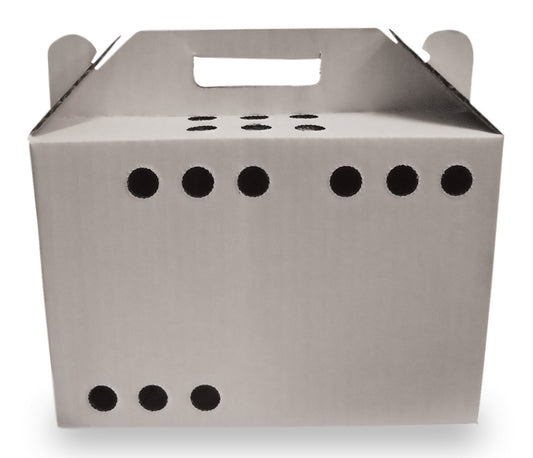 Transportín desechable para mascotas Oasis, paquete de 12, pequeño