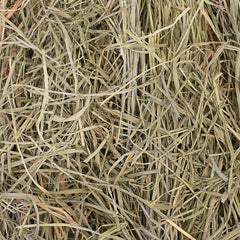 Grandpa's Best Orchard Grass Loose Boxed Hay, 5 lb