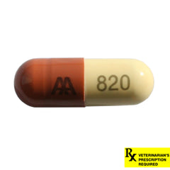 Rx Amoxicillin 250mg x 1 capsule