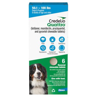 Rx Credelio Quattro Tabletas masticables para perros, 50.1-100 libras, 6 tabletas masticables