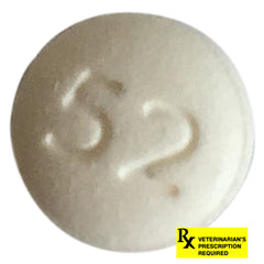 RX Benazepril Tabs 10mg x 1ct