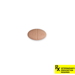 Rx Zeniquin 100mg x 1 tablet