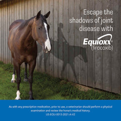 Rx Equioxx 57mg x 180 tablets