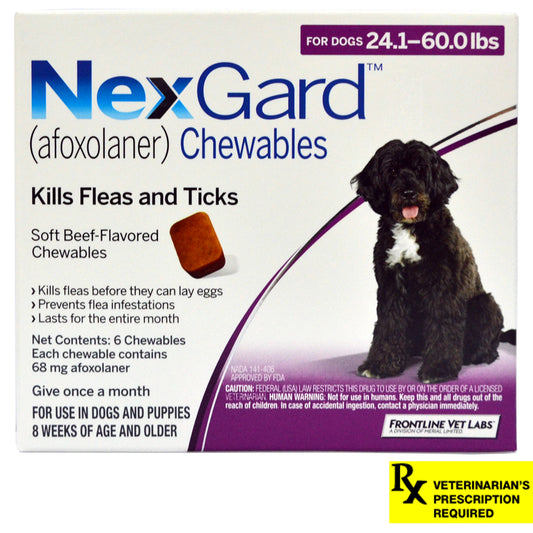 Rx NexGard Dog 24.1-60lb x 6 أقراص