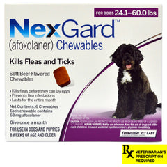 Rx NexGard Dog 24.1-60lb x 6 tablets