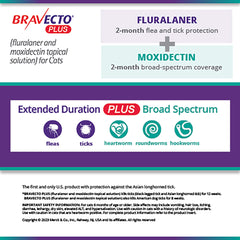 Rx Bravecto Plus Topical Cat 6.2-13.8lbs x 1 tube