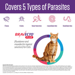 Rx Bravecto Plus Topical Cat 13.8-27.5lbs x 1 tube