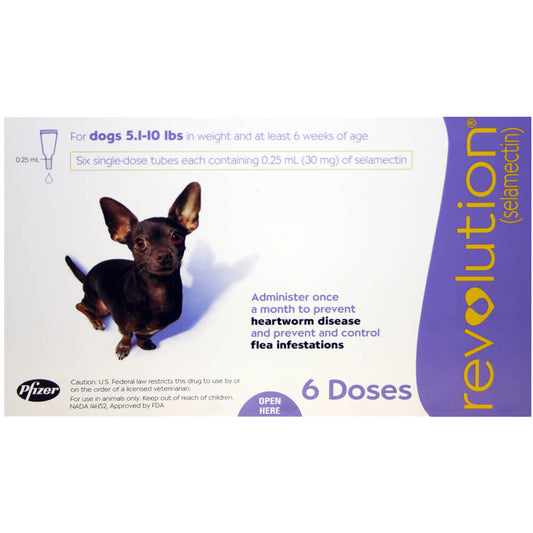Rx Revolution canine 5.1-10lbs x 6 month