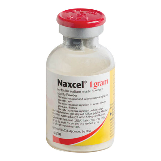 Rx Naxcel Sterile Powder 1 gram