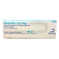 Rx Clavacillin 62.5mg x 210 tablets