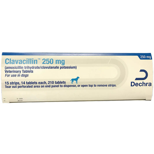 Rx Clavacillin, 250mg x 210 Tablets
