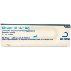 Rx Clavacillin 375mg x210 tablets