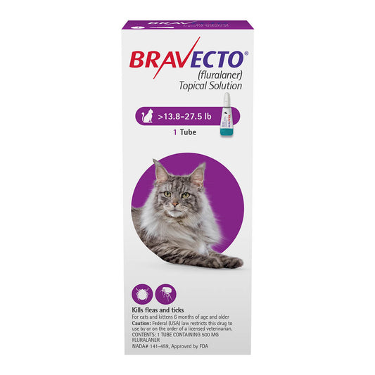 Rx Bravecto topical feline 13.8-27.50lbs x 1 tube