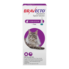 Rx Bravecto topical feline 13.8-27.50lbs x 1 tube