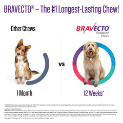 Rx Bravecto 4.4-9.9 رطل × 1 مضغ