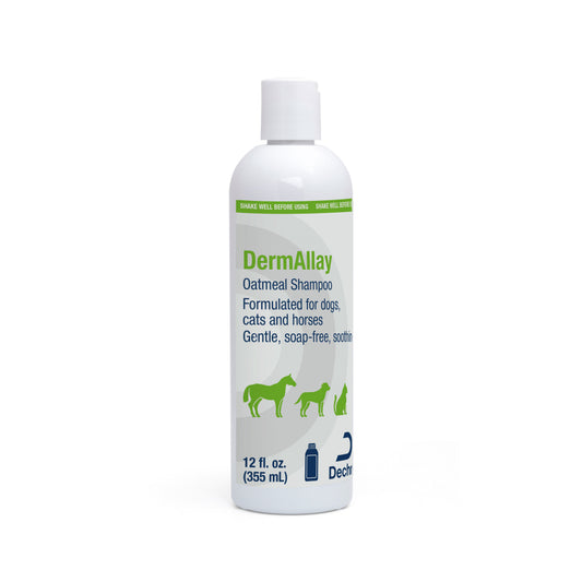 DermAllay Oatmeal Shampoo for Dogs Cats and Horses 12 fl oz