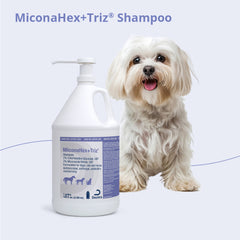 MiconaHex+Triz Shampoo, Gallon