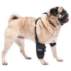 Caldera Pet Universal Therapy Carpal/Elbow Wrap with Therapy Gel, Small