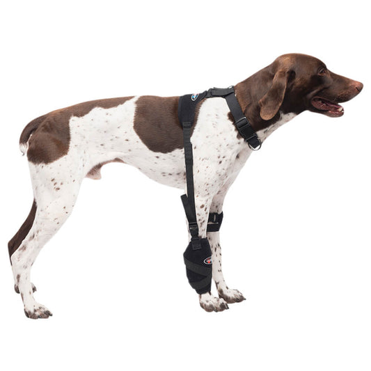 Caldera Pet Universal Therapy Carpal/Elbow Wrap with Therapy Gel, Medium