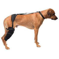 Caldera Pet Therapy Tall Stifle Wrap with Therapy Gel, Large