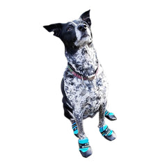 Healers Urban Walker Dog Boots, Pair, Teal, Small/Medium
