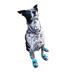 Healers Urban Walker Dog Boots, Pair, Orange, Medium