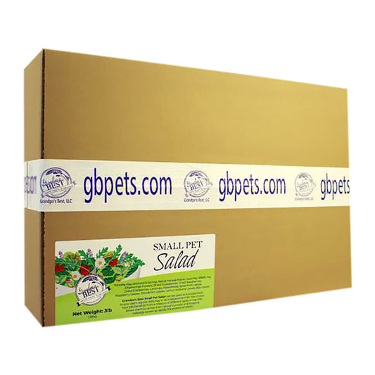 سلطة الجد المفضلة للحيوانات الأليفة الصغيرة