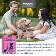 Proviable-DC para perros y gatos, 30 cápsulas