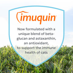 Nutramax Imuquin Immune Health Supplement Powder for Cats, With Beta Glucans, With Astaxanthin, 30 Sprinkle Capsules