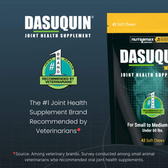 Nutramax Dasuquin for Small to Medium Dogs, Joint Health Supplement, Contains Glucosamine for Dogs, Plus Chondroitin, ASU, MSM and More, Supports Healthy Joints, Soft Chews, 42 Count