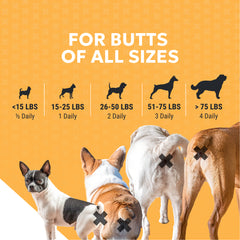 Nutramax Filaquin Anal Gland Supplement for Dogs, From the Makers of Proviable, with a Fiber Blend, Prebiotics, and Postbiotics for Digestive Health Support, 90 Count Soft Chews