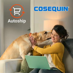 Nutramax Cosequin for Dogs Joint Health Supplement, Contains Glucosamine for Dogs, Plus Chondroitin, MSM and HA, Supports Healthy Joints, Chewable Tablets, 150 Count
