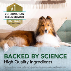 Suplemento natural de Omega-3 Welactin para perros, 473 ml (16 onzas líquidas)