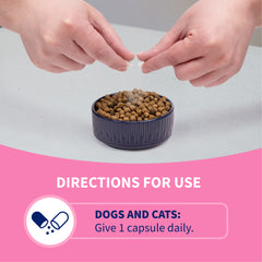 Proviable-DC for Dogs and Cats 80 Capsules