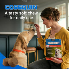 Cosequin Soft Chews with MSM plus Omega-3s for Dogs 120 ct