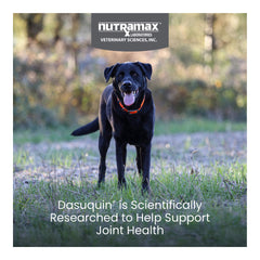 Nutramax Dasuquin for Large Dogs 60lbs and Over, Joint Health Supplement, Chewable Tablets, 150 Count