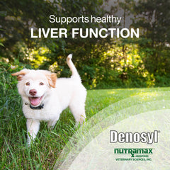 Denosyl para perros medianos 225 mg 30 comprimidos estabilizados