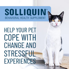 Solliquin Soft Chews 75 ct for SM to Med Dogs/Large Cats
