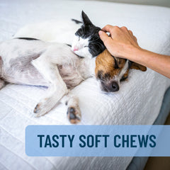 Solliquin Soft Chews 75 ct for SM to Med Dogs/Large Cats