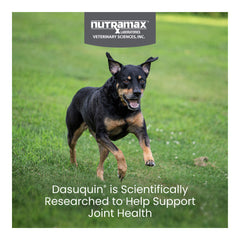Nutramax Dasuquin for Small to Medium Dogs, Joint Health Supplement, Chewable Tablets, 150 Count