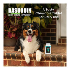 Nutramax Dasuquin for Small to Medium Dogs, Joint Health Supplement, Chewable Tablets, 150 Count