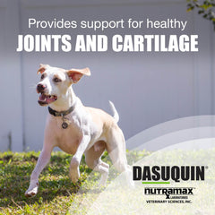 Nutramax Dasuquin para perros pequeños y medianos, suplemento para la salud articular, tabletas masticables, 84 unidades