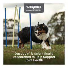 Nutramax Dasuquin with MSM for Large Dogs 60lbs and Over, Joint Health Supplement, Chewable Tablets, 150 Count