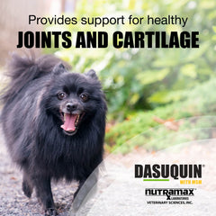 Nutramax Dasuquin with MSM for Small to Medium Dogs, Joint Health Supplement, Soft Chews, 84 Count